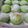 Cooksnap dari Shofi Hayati untuk resep Putri Salju Pandan Keju