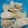 Cooksnap dari Itsmaisushi untuk resep Cara Membuat Kulit Gyoza / Dumpling