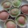 Cooksnap dari Mama Vania untuk resep Steam Polkadot Cupcake