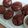 Cooksnap dari Antoine A. P. untuk resep Bolu Kukus Milo