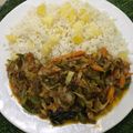 Fatima Dewa's cooksnap of when they made White rice and chicken sauce.