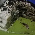 Cooksnap dari vitri pamungkas untuk resep Mille Crepes Oreo