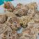 Cooksnap dari Siti Aldi Choirunnisa untuk resep Siomay daging sapi