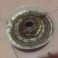 Cooksnap dari Hesty Yusnita untuk resep Puding Zebra dapur mama Azzah & Azzam