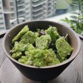 Poonam Joshi's cooksnap of when they made Palak Sooji Dhokla (Spinach Rava Dhokla) – Winter Special.