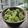 Poonam Joshi's cooksnap of when they made Palak Sooji Dhokla (Spinach Rava Dhokla) – Winter Special.
