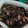 Cooksnap dari Hanny Khairunnisa untuk resep Sotong Masak Hitam
