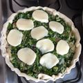 El cooksnap de hariana cuando hizo Tarta de espinaca, champiñones y queso 🍃🧀.