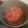 El cooksnap de Laurita Amador cuando hizo Salchichas de Pollo frescas en salsa (con Vino Blanco).
