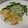 El cooksnap de Isabel Cristina Chaparro cuando hizo Arroz verde acompañado de camarones y espárragos.