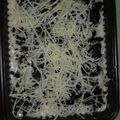 Cooksnap dari Sonia untuk resep Chese cake lumer oreo