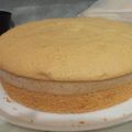 El cooksnap de Miiky cuando hizo Bizcochuelo bien alto 😉. Especial para tortas.