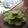 Cooksnap dari YK22 untuk resep Green Velvet Cup CakeGluten Free