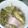 Kay Galindez's cooksnap of when they made AMIEs PORK Sinigang.