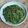 Cooksnap dari Ismy Maulidasary untuk resep Tumis Daun Singkong Bunga Pepaya