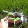 Cooksnap dari Rivalda Roihanah untuk resep Brownies coklat pandan