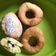 Cooksnap dari Siska Yuspitasari untuk resep Donat Jco KW2 Tanpa Ulen Tanpa Kentang (Resep Termutakhir)