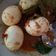 Cooksnap dari Riri untuk resep Telur Bumbu Bali #prrecook_jaensajan