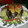 El cooksnap de doralys cuando hizo Paella de marisco.