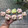 Cooksnap dari marta dfelina untuk resep Bolu Kukus Pandan Cokelat Mekar Semua - Asian Steamed Cake