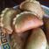 Cooksnap dari BrendaPS untuk resep Panada Khas Manado