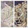 Cooksnap dari Ira Aryani untuk resep Crispy Enoki #bantumantenbaru