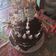 El cooksnap de Priscila cuando hizo Tarta Red Velvet.