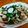 Katherine 的 九層塔蛤蠣 cooksnap