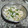 El cooksnap de josbor cuando hizo Patatas con all y oli.