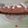 Cooksnap από ms_dragonforce στη συνταγή Δροσερή κερασόταρτα με παντεσπάνι