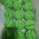 Cooksnap dari iis setiawati untuk resep Kue mangkok/apem mekar all in one metode. Anti gagal+++