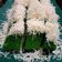 Cooksnap dari Renny untuk resep Brownies kukus pandan