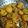 Madhuchanda Dey का कुकस्नैप जब उन्होंने हरे बैंगन के पकौड़े (Pakode of Green Brinjal recipe in hindi) बनाया था।