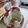 Cooksnap dari Nilna Rahmah Qorry Aina El-khair untuk resep Rainbow Mille Crepes Cake 2 Telur