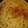 El cooksnap de Alexandra cuando hizo Fainá de queso 🌝.