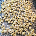 El cooksnap de Grace Videla cuando hizo Ñoquis de papas (sin huevo) con salsa. #veganos.