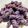 il Le Ricette Di Naty quando ha preparato Purple spaghetti (con cavolo viola-ricetta healthy)