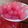 Cooksnap dari achrys dy untuk resep Kolang Kaling Fanta