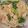 Cooksnap dari Lelly Atika Asashy untuk resep Spaghetti Aglio Olio Chicken