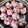 Cooksnap dari Indri Widyastuti untuk resep Bolu Kukus Mekar (Tanpa Soda Anti Gagal)