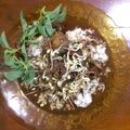 Cooksnap dari Anty Syahruddin untuk resep Rawon iga sapi