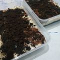 Cooksnap dari angela untuk resep Oreo Dessert Box