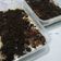 Cooksnap dari angela untuk resep Oreo Dessert Box