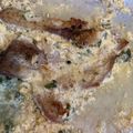 El cooksnap de Anna Chulepin cuando hizo Matambre a la leche en olla a presión.
