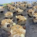 El cooksnap de Eva cuando hizo Crema de turrón con mascarpone, nata y baileys.