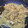 Cooksnap dari Mim untuk resep Chicken Lemon Honey Mustard