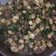 Cooksnap dari Asthy Karlina untuk resep Tumis Tahu Daging Sederhana