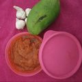 Bina Talati's cooksnap of when they made કાચી કેરીની ચટણી (Raw Mango Chutney Recipe In Gujarati).