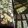 Cooksnap dari Siti Nuraini Mugeni untuk resep Brownies Cokelat Moist