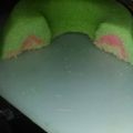 Cooksnap dari ani. untuk resep Bolu kukus pandan santan